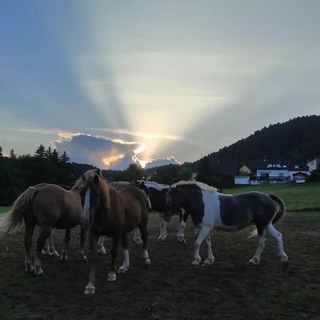 Ferienwohnung Am Tor Zum Thueringer Wald 2 Plaue  Екстер'єр фото