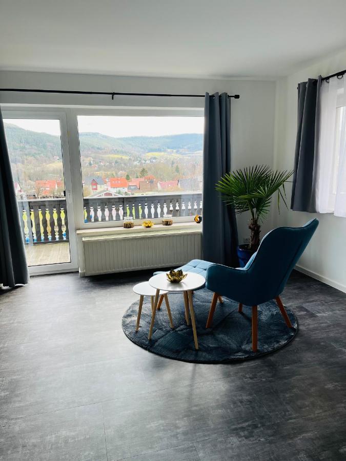 Ferienwohnung Am Tor Zum Thueringer Wald 2 Plaue  Екстер'єр фото
